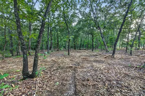 004 M- Cantrell, Mansfield, MO 65704 photo 6