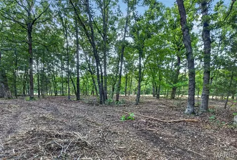004 M- Cantrell, Mansfield, MO 65704 photo 7