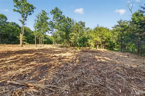 005 M- Cantrell Rd, Mansfield, MO 65704 photo 3
