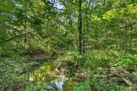 005 M- Cantrell Rd, Mansfield, MO 65704 photo 8