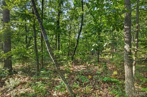 005 M- Cantrell Rd, Mansfield, MO 65704 photo 10