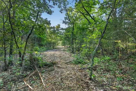 005 M- Cantrell Rd, Mansfield, MO 65704 photo 6