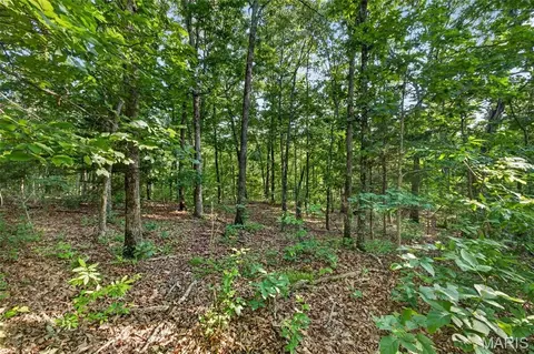 005 M- Cantrell Rd, Mansfield, MO 65704 photo 9