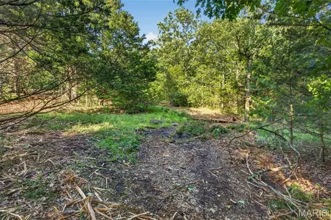 005 M- Cantrell Rd, Mansfield, MO 65704 photo 5