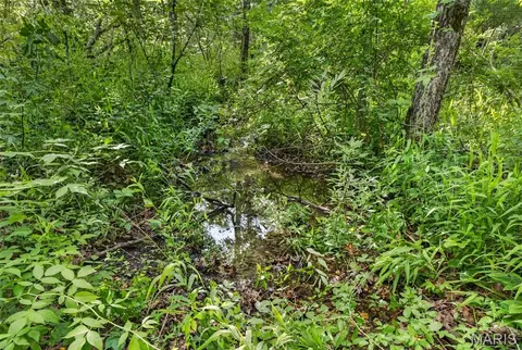 005 M- Cantrell Rd, Mansfield, MO 65704 photo 7
