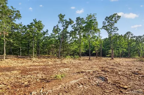 005 M- Cantrell Rd, Mansfield, MO 65704 photo 2