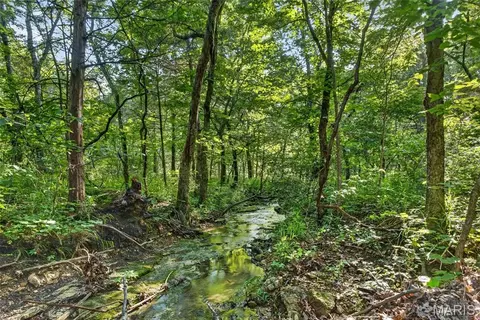 006 M- Cantrell Rd, Mansfield, MO 65704 photo 27