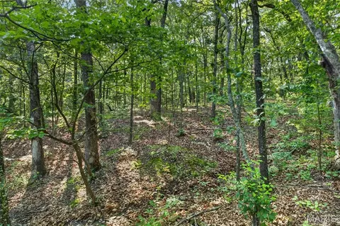006 M- Cantrell Rd, Mansfield, MO 65704 photo 23