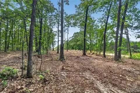 006 M- Cantrell Rd, Mansfield, MO 65704 photo 11