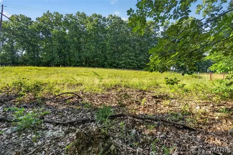 006 M- Cantrell Rd, Mansfield, MO 65704 photo 19