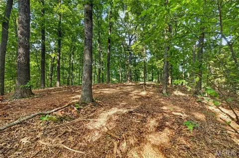 006 M- Cantrell Rd, Mansfield, MO 65704 photo 17