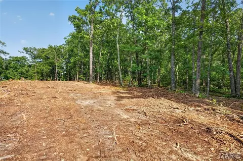 006 M- Cantrell Rd, Mansfield, MO 65704 photo 7