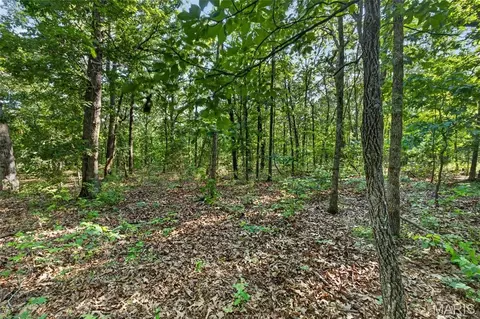 006 M- Cantrell Rd, Mansfield, MO 65704 photo 21