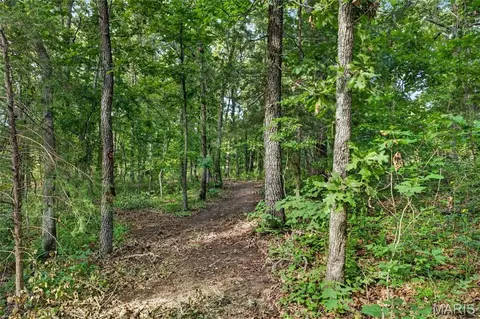 006 M- Cantrell Rd, Mansfield, MO 65704 photo 13