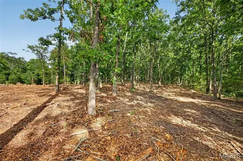 006 M- Cantrell Rd, Mansfield, MO 65704 photo 8