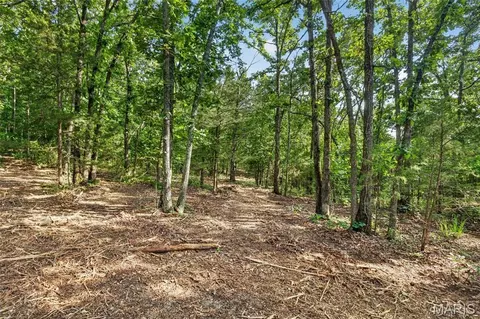 006 M- Cantrell Rd, Mansfield, MO 65704 photo 12