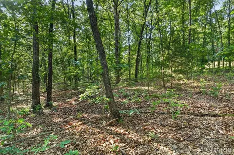 006 M- Cantrell Rd, Mansfield, MO 65704 photo 22
