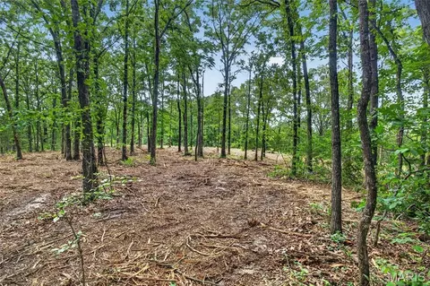 006 M- Cantrell Rd, Mansfield, MO 65704 photo 9