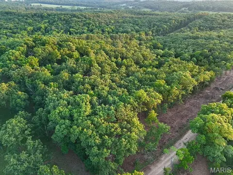 006 M- Cantrell Rd, Mansfield, MO 65704 photo 4