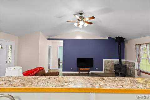 Other - 341 E Dent St, Ironton, MO 63650 photo 7 of 7