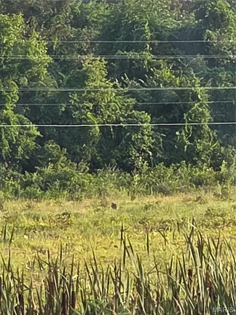 12 05 Acres Hwy O, Rolla, MO 65401 photo 10