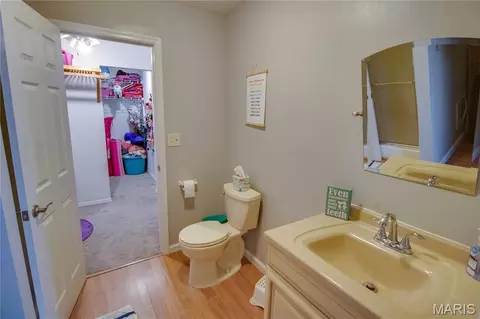 Other - 24 Islander Dr, Brighton, IL 62012 photo 13 of 15