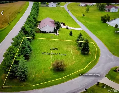 13884 White Pine Ln, Godfrey, IL 62035