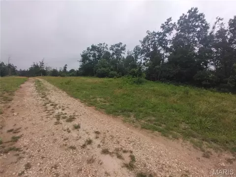 9 Tract 9 Off Highway O, Belleview, MO 63623
