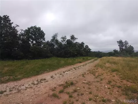 8 Tract 8 Off Hwy O, Belleview, MO 63623