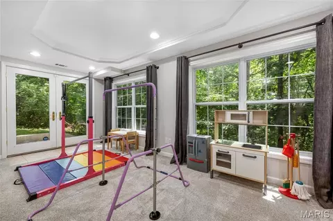 Other - 724 Oaksdale Summit Ct, Wildwood, MO 63011 photo 18 of 20