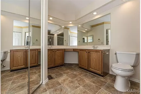 Bath - 817 Woodside Trails Dr, Ballwin, MO 63021 photo 1 of 4