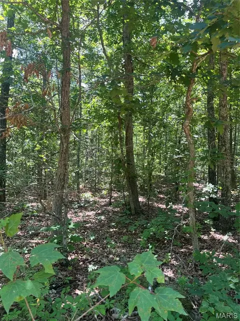 1 County Road 750, Centerville, MO 63633