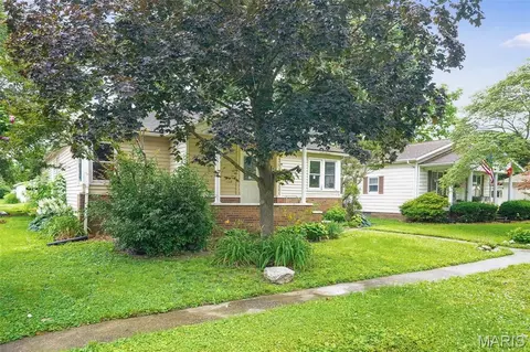 Exterior - 217 W Walnut St, Benld, IL 62009 photo 3 of 8