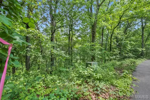 8 5 Acres Clermont Dr, Festus, MO 63028