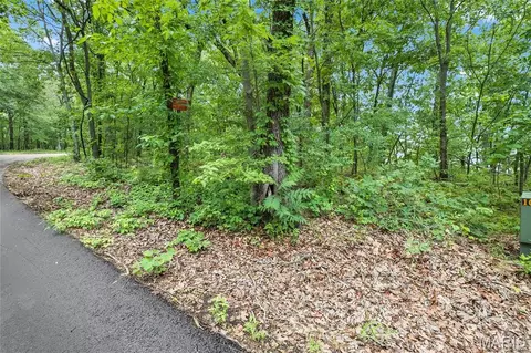 9 41 Acres Clermont Dr, Festus, MO 63028