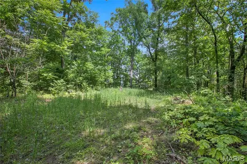 8 75 Acres Mississippi Queen Ct, Festus, MO 63028