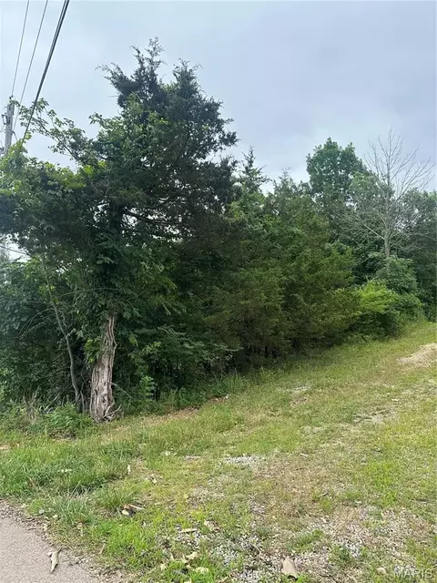 00 Marseilles Dr, Bonne Terre, MO 63628