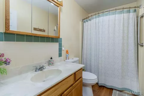 Bath - 210 Vicki Lynn Ln, Saint Robert, MO 65584 photo 4 of 4