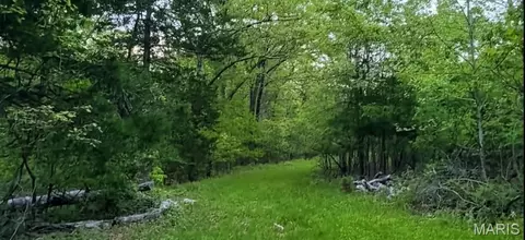 Other - 8578 Lizard Ln, Dittmer, MO 63023 photo 17 of 18
