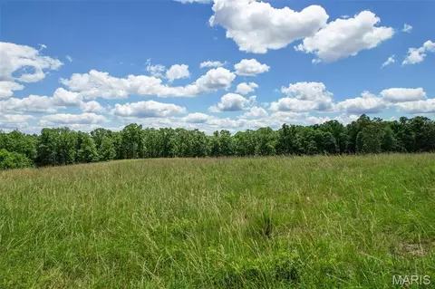 Exterior - 10450 Ok Rd, Bonne Terre, MO 63628 photo 11 of 28