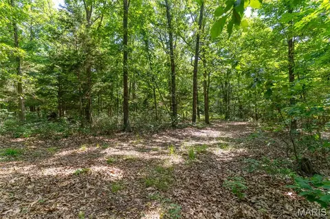 Exterior - 10450 Ok Rd, Bonne Terre, MO 63628 photo 23 of 28