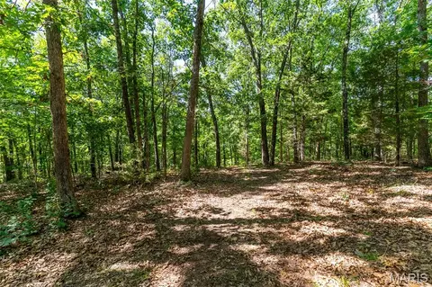 Exterior - 10450 Ok Rd, Bonne Terre, MO 63628 photo 22 of 28