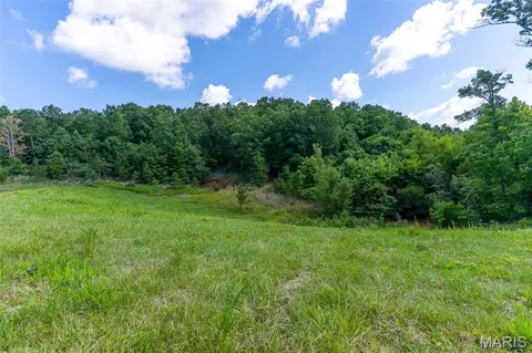 Exterior - 10450 Ok Rd, Bonne Terre, MO 63628 photo 24 of 28
