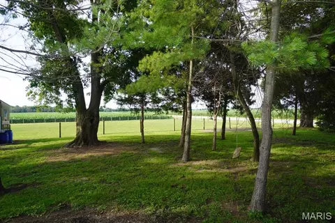 Exterior - 9965 Fruit Rd, Alhambra, IL 62001 photo 7 of 44