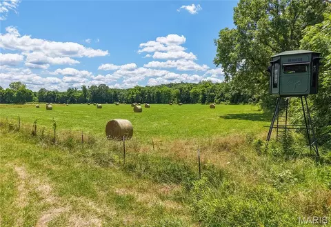 Exterior - 0 State Highway 49, Mill Spring, MO 63952 photo 1 of 20