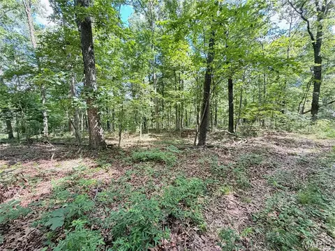 tbd Tbd, Salem, MO 65560 photo 44