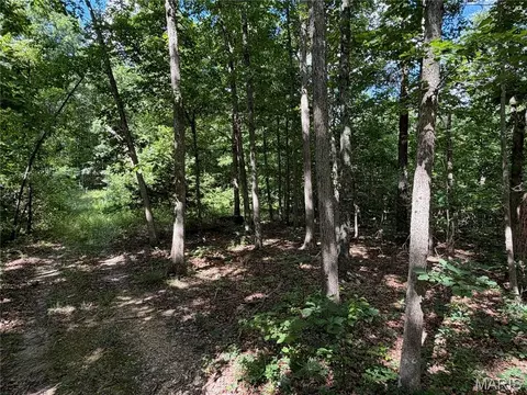 tbd Tbd, Salem, MO 65560 photo 37