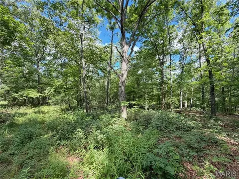tbd Tbd, Salem, MO 65560 photo 42