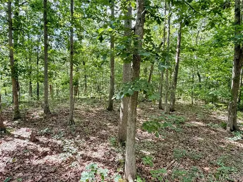 tbd Tbd, Salem, MO 65560 photo 38