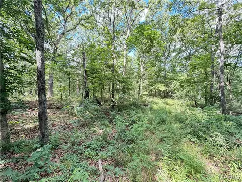 tbd Tbd, Salem, MO 65560 photo 43
